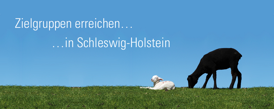 Zielgruppen erreichen&hellip; in Schleswig-Holstein